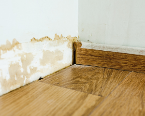 Landlord Insurance